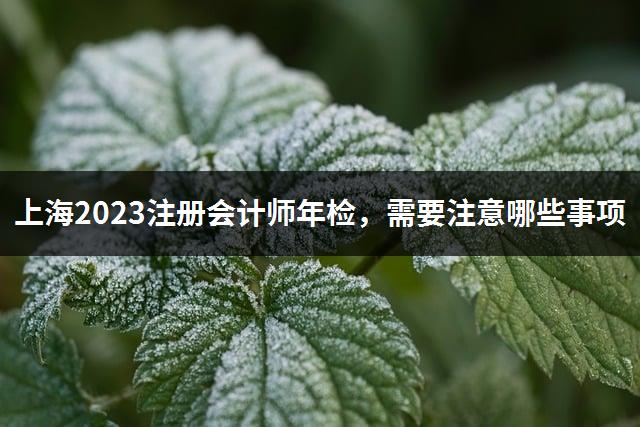 上海2023注册会计师年检，需要注意哪些事项-1