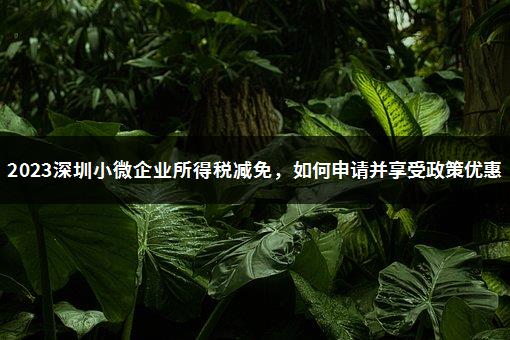 2023深圳小微企业所得税减免，如何申请并享受政策优惠-1