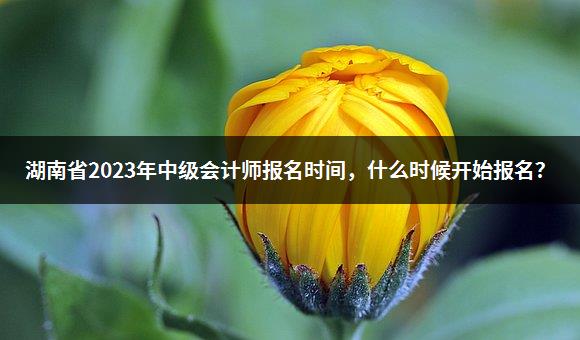 湖南省2023年中级会计师报名时间，什么时候开始报名？-1