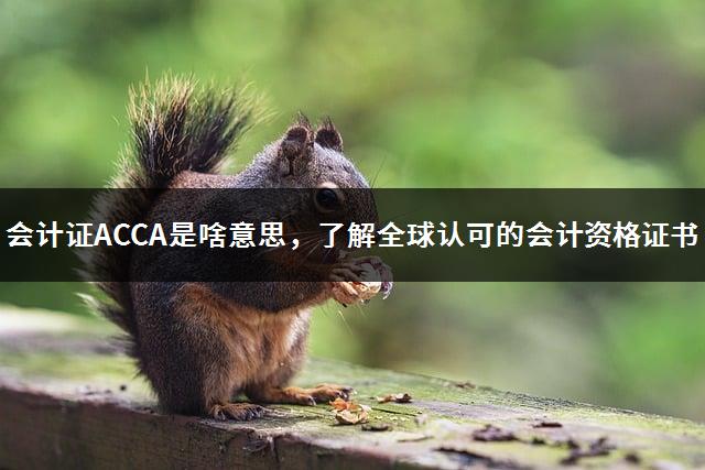 会计证ACCA是啥意思，了解全球认可的会计资格证书-1