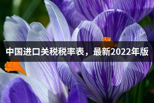 中国进口关税税率表，最新2022年版-1