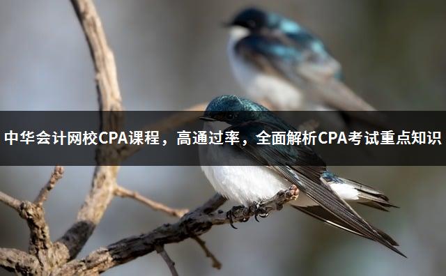 中华会计网校CPA课程，高通过率，全面解析CPA考试重点知识-1
