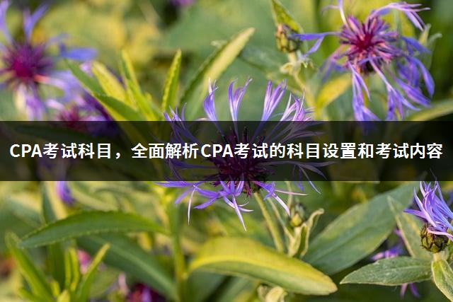 CPA考试科目，全面解析CPA考试的科目设置和考试内容-1