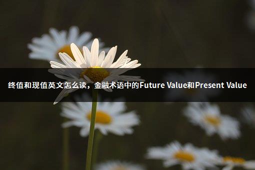 终值和现值英文怎么读，金融术语中的Future Value和Present Value-1