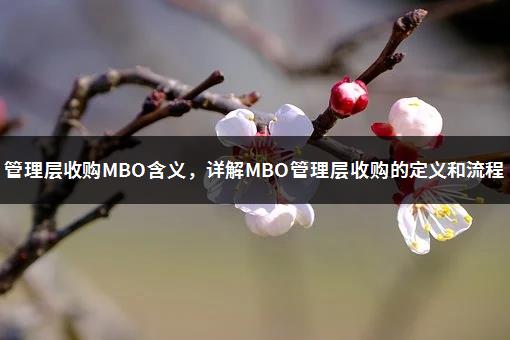 管理层收购MBO含义，详解MBO管理层收购的定义和流程-1