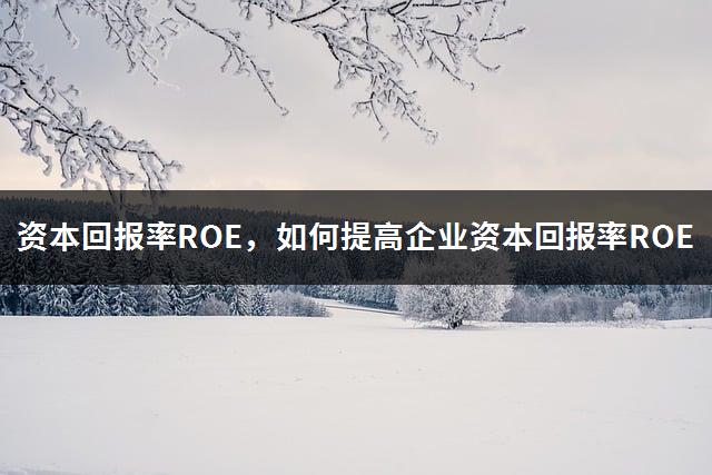 资本回报率ROE，如何提高企业资本回报率ROE-1