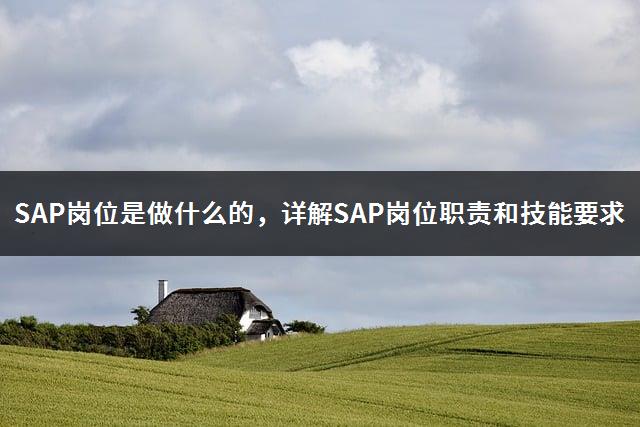 SAP岗位是做什么的，详解SAP岗位职责和技能要求-1