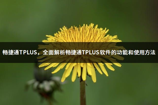 畅捷通TPLUS，全面解析畅捷通TPLUS软件的功能和使用方法-1
