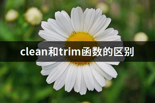 clean和trim函数的区别-1