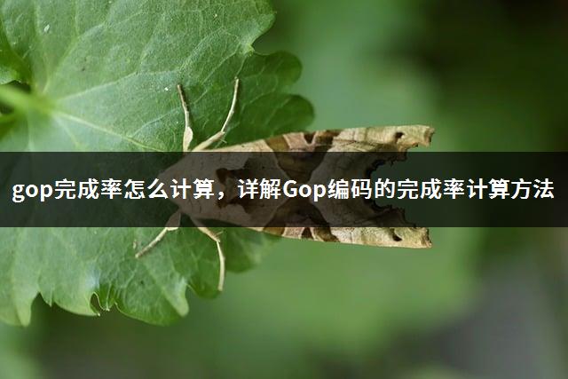 gop完成率怎么计算，详解Gop编码的完成率计算方法-1