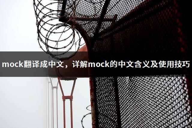 mock翻译成中文，详解mock的中文含义及使用技巧-1
