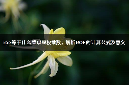roe等于什么乘以股权乘数，解析ROE的计算公式及意义-1